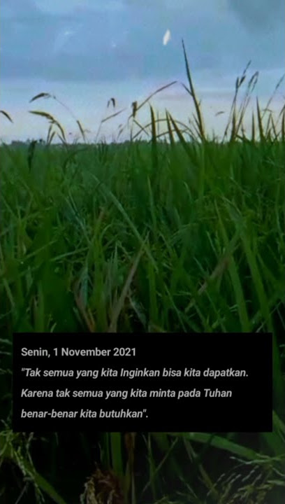 Welcome November|| Story' Wa Keren Senin 1 November 2021|| Part 1