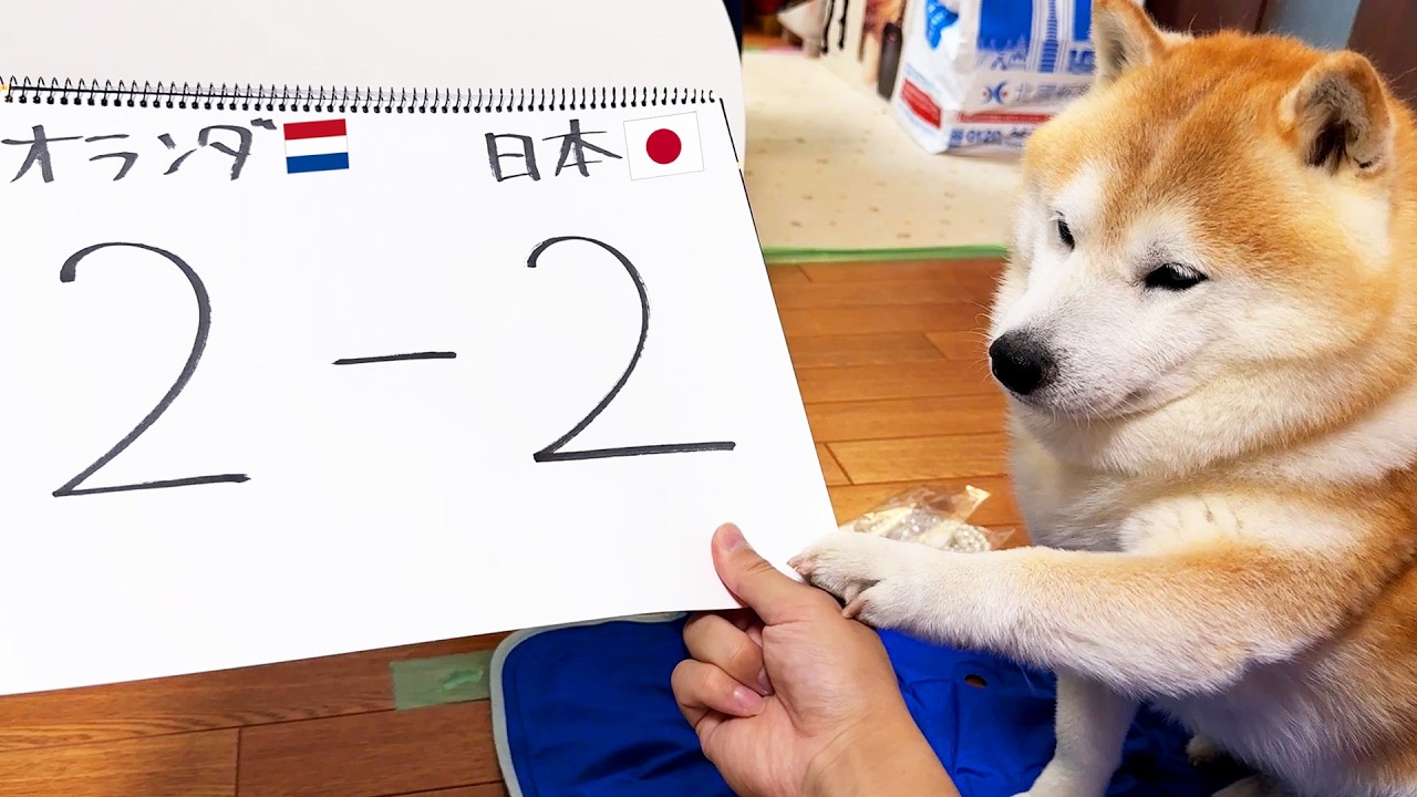 Shibe woke up when Japan scored a goal in the World Cup match