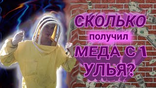 И ЭТО ТОЛЬКО 1 УЛЕЙ! Сколько забрал меда с улья ? Пчеловодство