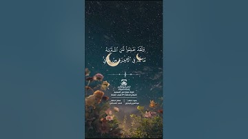 تلاوة عطرة بصوت الشيخ عبد العزيز شيخون