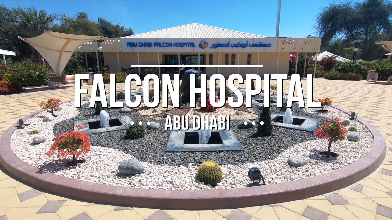 abu dhabi falcon hospital tour