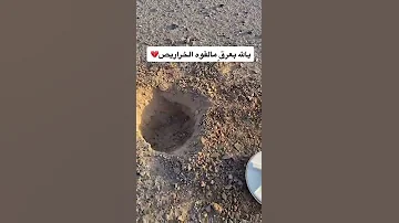 استمع الى صوت الذهب بجهاز جي بي زد ٧٠٠٠ 