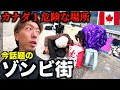 【今話題】ゾンビ街と化したカナダ１の危険ストリートがカオスすぎた