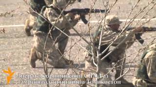 видео: Размоиши десанти тоҷикӣ дар Фахробод. Учения таджикских десантников картинка: Размоиши десанти тоҷикӣ дар Фахробод. Учения таджикских десантников