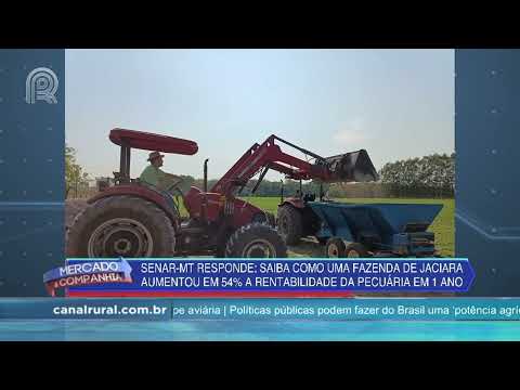 Senar MT Responde | Saiba como uma fazenda aumentou em 54% a rentabilidade da pecuária em uma ano