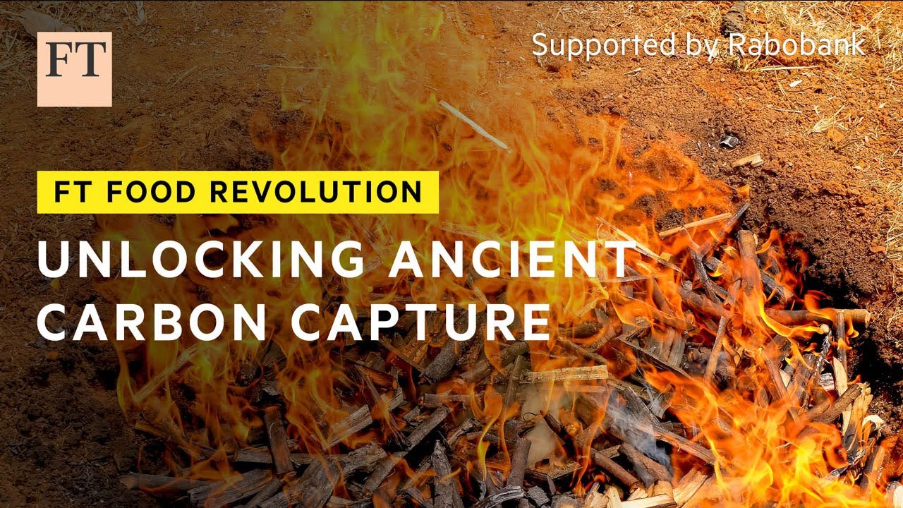 Film backdrop image for An ancient soil-enriching technique could help decarbonise modern agriculture (2024)