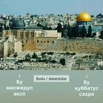 MAJIDU AQSO(ABDULLOX DOMLA)