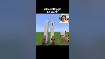 Minecraft Logic Moment