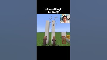 Minecraft Logic Moment