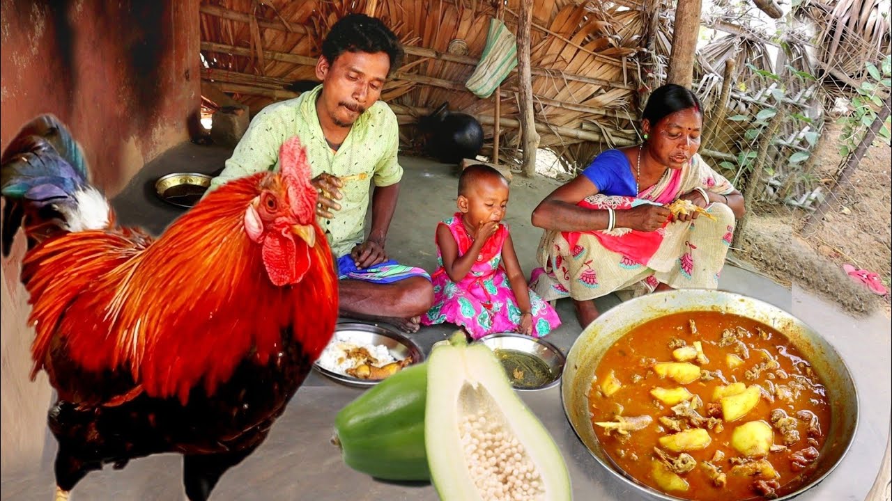 full RED CUONTRY CHICKEN curry cooking&eating by santali tribe family||rural village Orissa