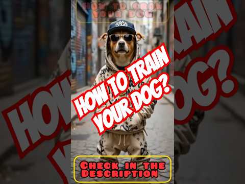 Dog 🐕 Training