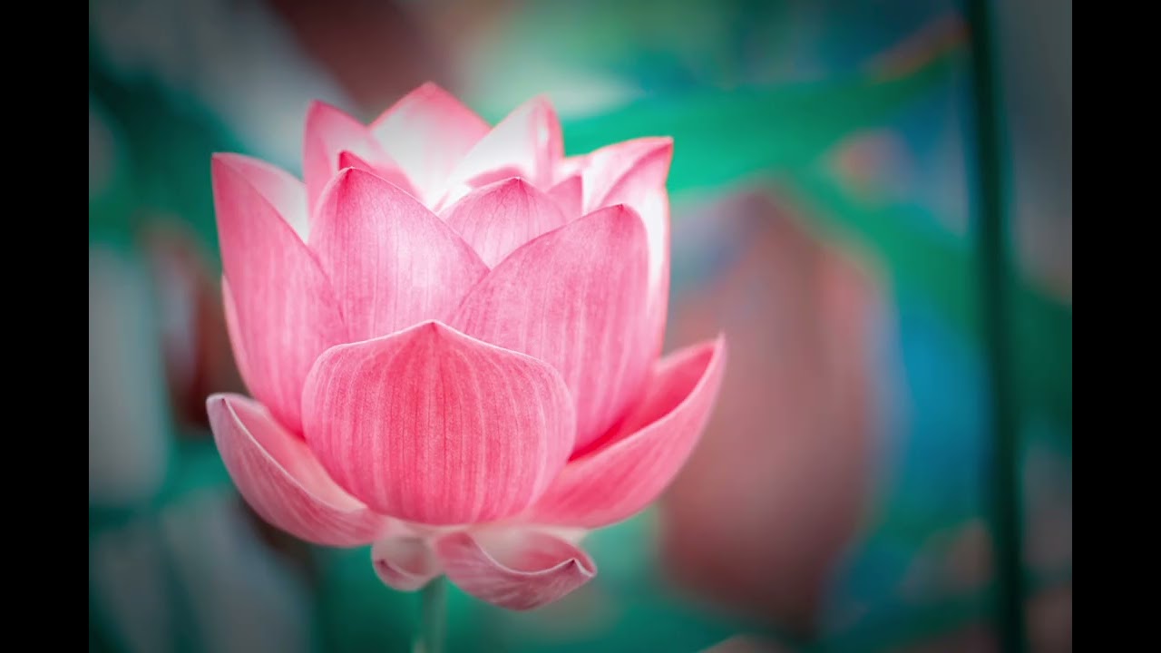 Ancient Temple Calm • 1 Hour 20 Minutes Chinese Zen Ambient Music for Deep Inner Peace 