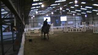 Murphy's first ever jumping show
