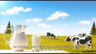 Iklan Produk (Cimory Fresh Milk)