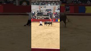 Bad Moment For Matador