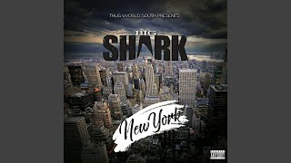 New York - Big Shark