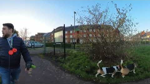 Saturday Walk Dog test with insta360 x3