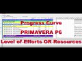 Progress Curve for Level of Efforts / Assigned Labor Resources