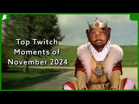 ScarletFlight's Top Twitch Moments of November 2024