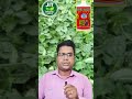 ଵଡ ପେ।ଟଳ ପାଇବା ପାଇଁ ଏହି ଫର୍ମୁଲା ବ୍ୟବହାର କରନ୍ତୁ