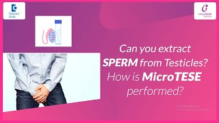 What is MicroTESE Microscopic Testicular Sperm Extraction? | Dr  Bhavna Banga