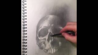 Skull timelapse sketch by Brandon Stewart