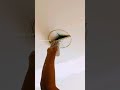 how to install ceiling light#shortfeed#viralvideo#diy#tips#shortvideo