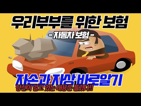 자동차종합보험