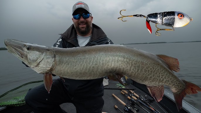 Top 5 MUSKY BAITS of 2023! 