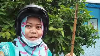 Berburu Asupan Kalium Gratis Diary Pasien Capd