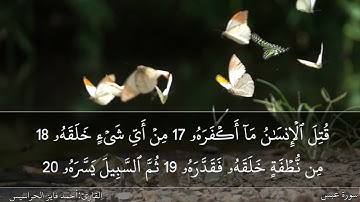 الصفحة 585 سورة عبس بصوت القارئ المهندس أحمد فايز الحراسيس