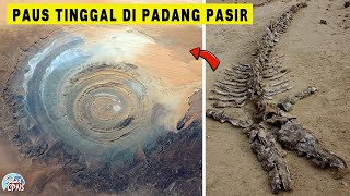 Rahasia Tersembunyi Gurun Sahara