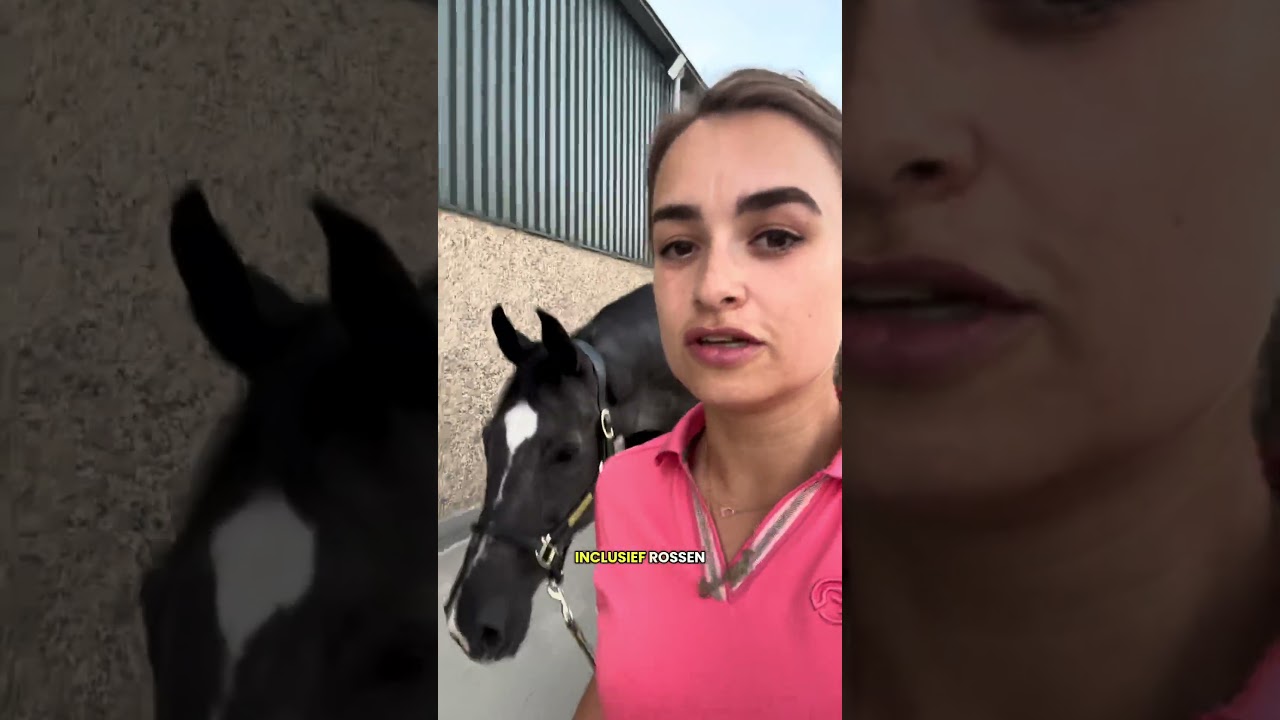 Iemand poetstips voor zwarte paarden? HELP MIJ 😭 