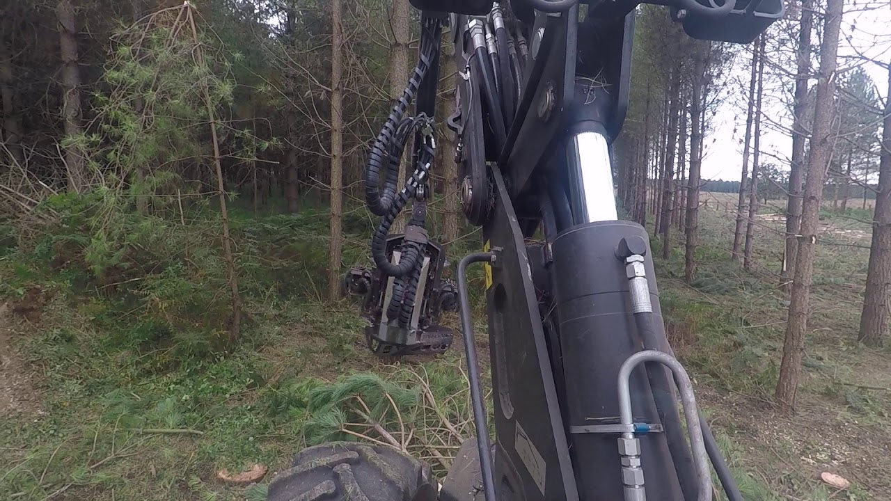 logset 6hp gte on small clear fell - YouTube