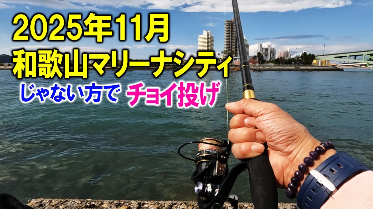 【和歌山　釣り】マリーナシティじゃない方で貸し切り状態の釣り！