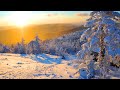 🗻Winter Snow Forest Relaxing Piano Music - Soothing Calming Sleep Music - Meditation Yoga Music #28