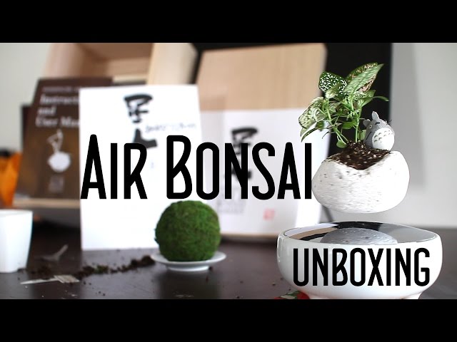 星人 空中盆栽 air bonsai 白 エア盆栽 Air Bonsai Unboxing - Floating Bonsai Set - 星人空中盆栽園開封動画