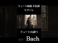 バッハ:リュート組曲 神秘的なホ短調 #shorts #lute #baroque