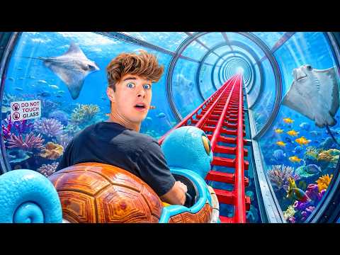 I Tried 5 Levels of Theme Parks!