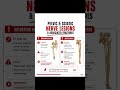 🧠Nerve Injuries Explained Neurapraxia, Axonotmesis &Neurotmesis📚🩺 #nursingprofessionknowledgeandnews