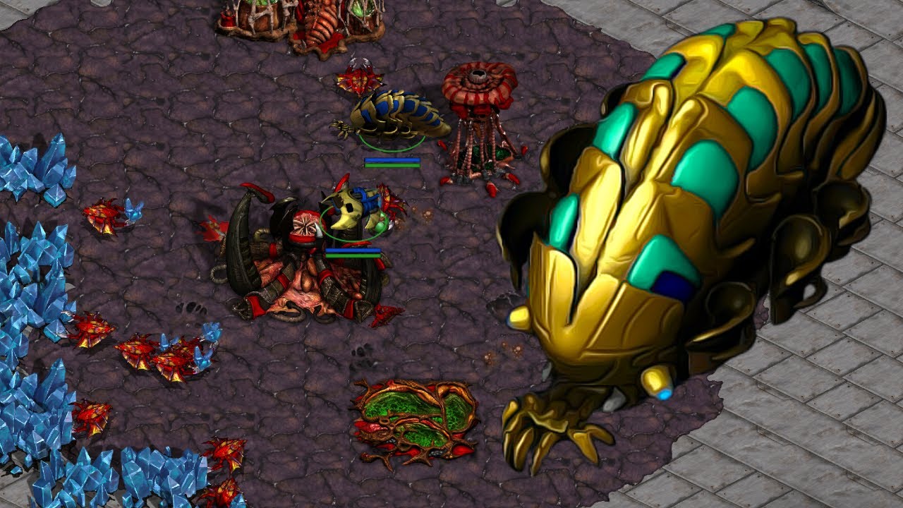 Can Reavers become Standard vs Zerg?