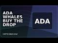ADA Lost Months Of Price While ADA Lost Months Saw Whales Buy