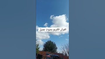 القرآن الكريم بصوت جميل #duet #قرانكريم #القران_الكريم #تيك_توك #اكسبلور #الشيخ #ترند