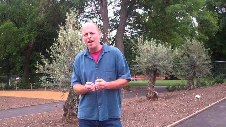 Joe Swift talking about Horniman Gardens' Appeal Auction