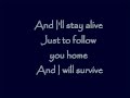 Follow you home By Nickelback lyrics!!