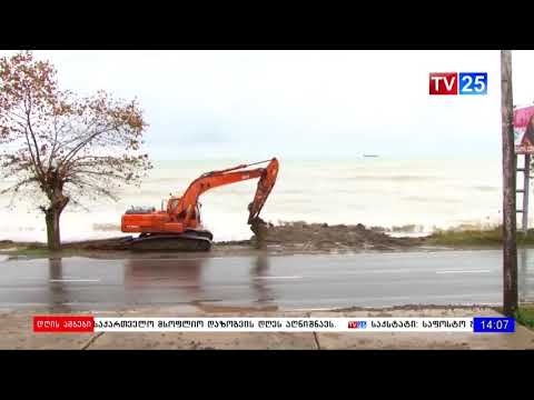 დენდროლოგიურ პარკში კიდევ ერთ ხეს გადაიტანენ