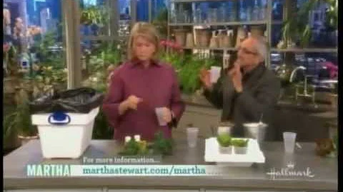 Gene Giacomelli on Martha Stewart: Simplified Hydr...