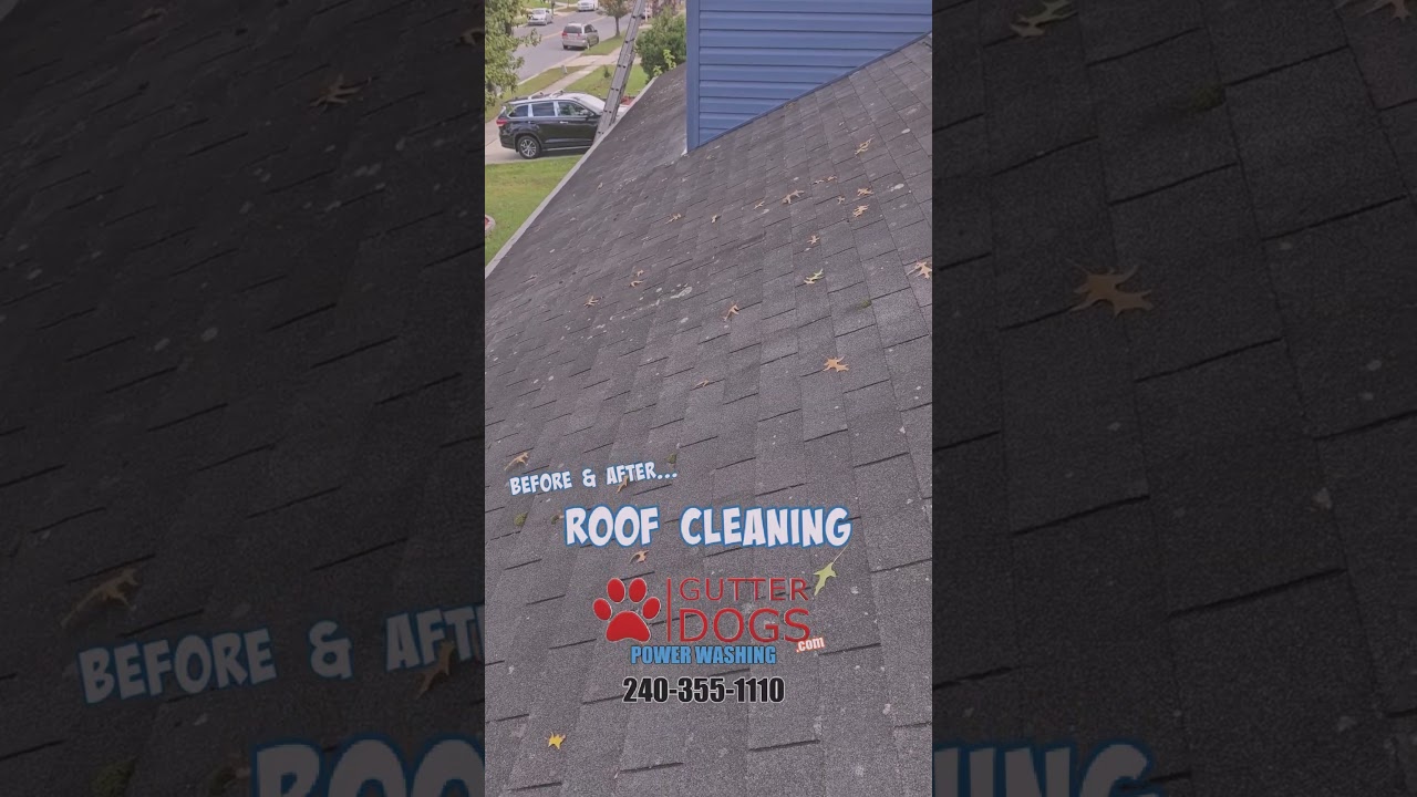 Roof Cleaning Experts in Prince George’s County, MD – Restore and Protect Your Roof