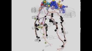 Inter-individual stereotypy of the Platynereis larval visual connectome