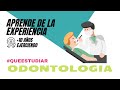 ✅ Carrera de Odontología: mira profesionales del sector público y privado